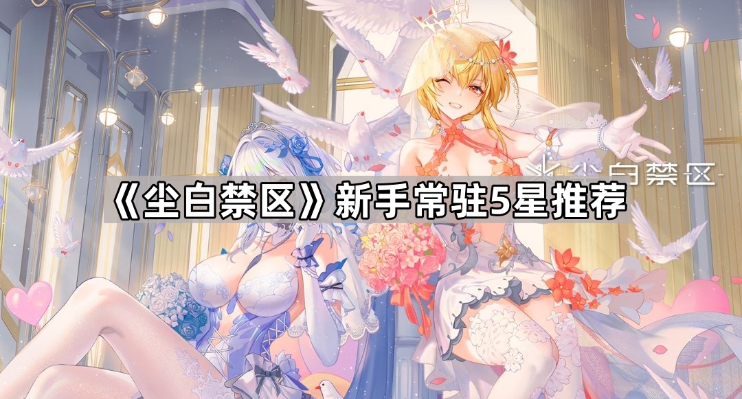 《探索未知领域：新手必玩5星推荐》