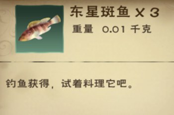 东星斑鱼食谱创新：探索多种美味烹饪方式