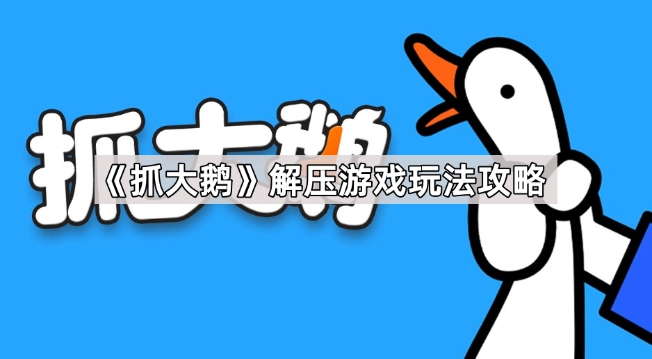 《趣味捕鹅》游戏攻略：轻松上手，释放压力